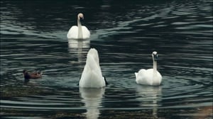 Into Alaska, Season 1 Episode 6 image