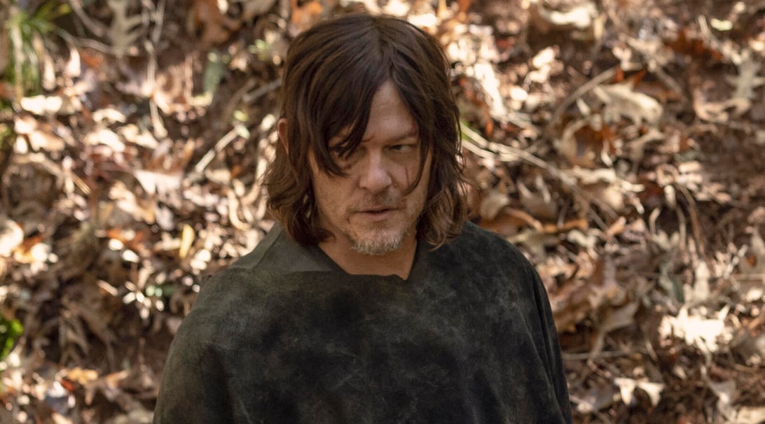 Norman Reedus, The Walking Dead