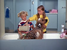 The Brady Bunch, Season 1 Episode 5 image