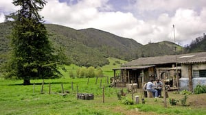 Narcos, Season 2 Episode 9 image