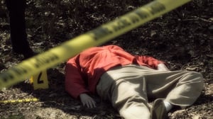 Sins and Secrets, Season 4 Episode 10 image