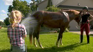 Gabby's Farm, Season 1 Episode 12 image