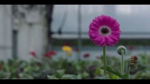 The Sounds, Season 1 Episode 7 image