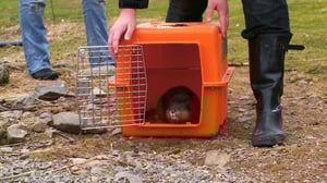 Hope in the Wild, Season 1 Episode 22 image