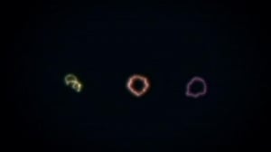 The Elegant Universe, Season 1 Episode 3 image