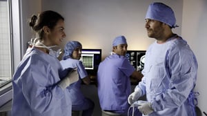 The Mindy Project, Season 2 Episode 21 image