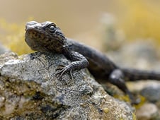 Extreme Africa, Season 1 Episode 6 image