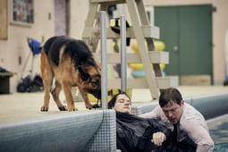 Hudson & Rex, Season 1 Episode 4 image