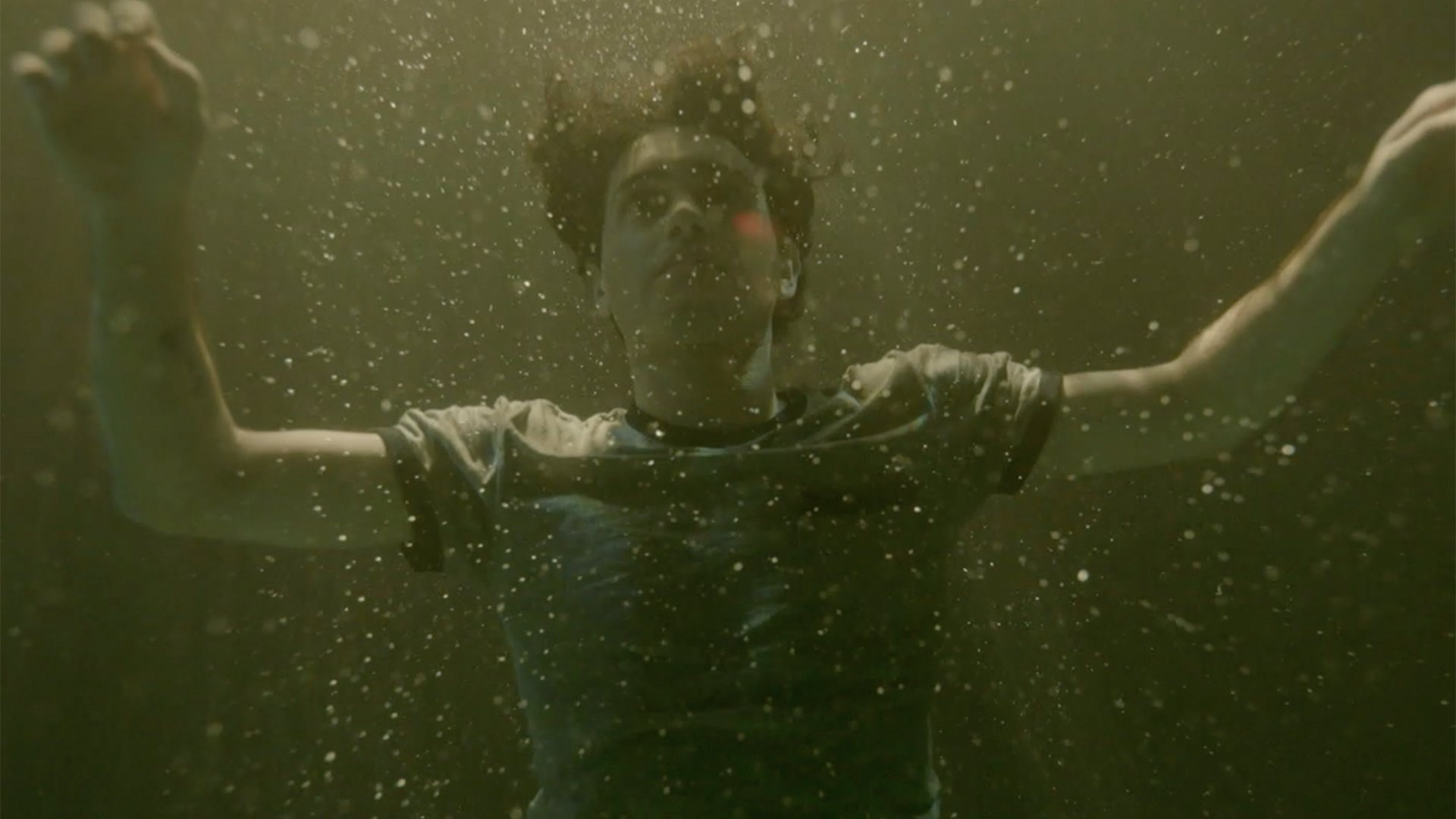 Aria Shaghasemi, Legacies