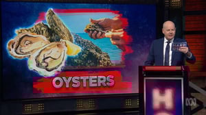 Hard Quiz, Season 9 Episode 11 image