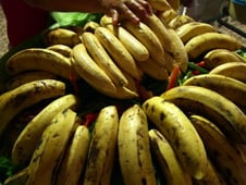 Anthony Bourdain: No Reservations, Season 7 Episode 3 image