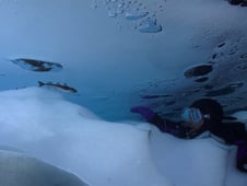 Under the Pole, Season 1 Episode 3 image