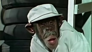 Lancelot Link: Secret Chimp, Season 1 Episode 10 image