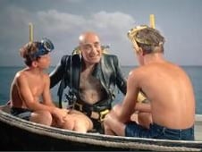 Flipper, Season 1 Episode 10 image