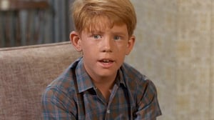 The Andy Griffith Show, Season 7 Episode 4 image