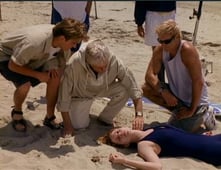 Diagnosis Murder, Season 3 Episode 3 image