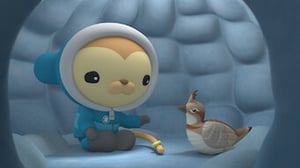 Octonauts: Above & Beyond, Season 2 Episode 6 image